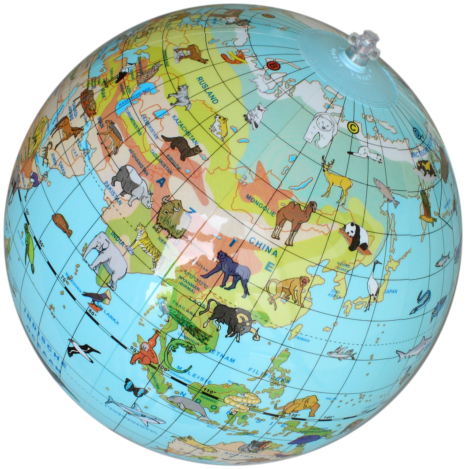 Caly Toys Animal Globe 30